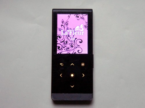 Samsung t10 2gb multimedia - 2gb,